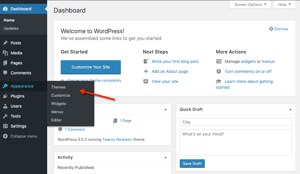 WordPress Appearance