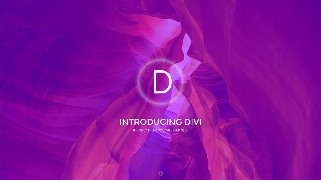 Divi Theme