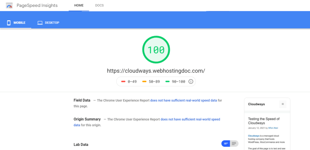 Cloudways Pagespeed Insights