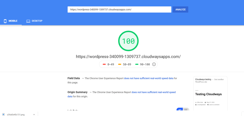 Cloudways Pagespeed Insight Mobile