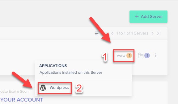 Cloudways Wordpress Installation