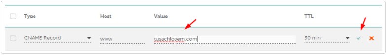 domain pointing to cloudways in namecheap