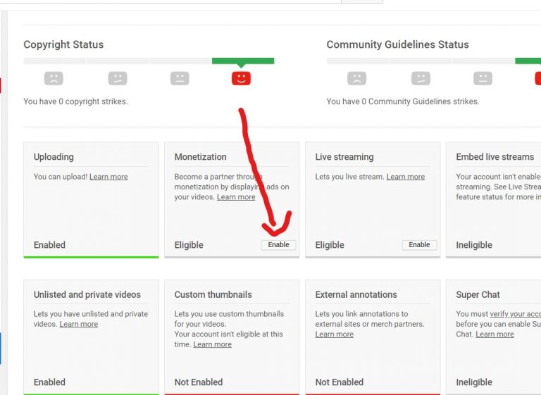 Youtube Monetization