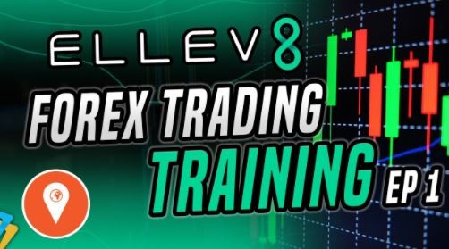 Elev8 Forex Trading Course
