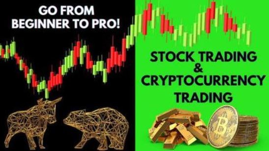 Cryptocurrency day trading course 2022. Trading Bot included Download From Below Link