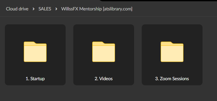 Willssfx Mentorship Course