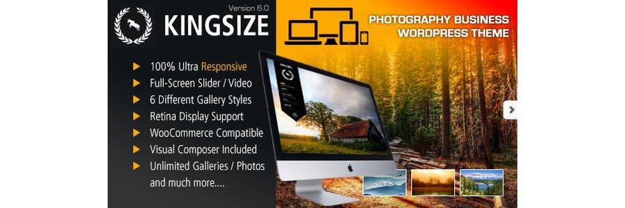 Kingsize Fullscreen Photography Theme